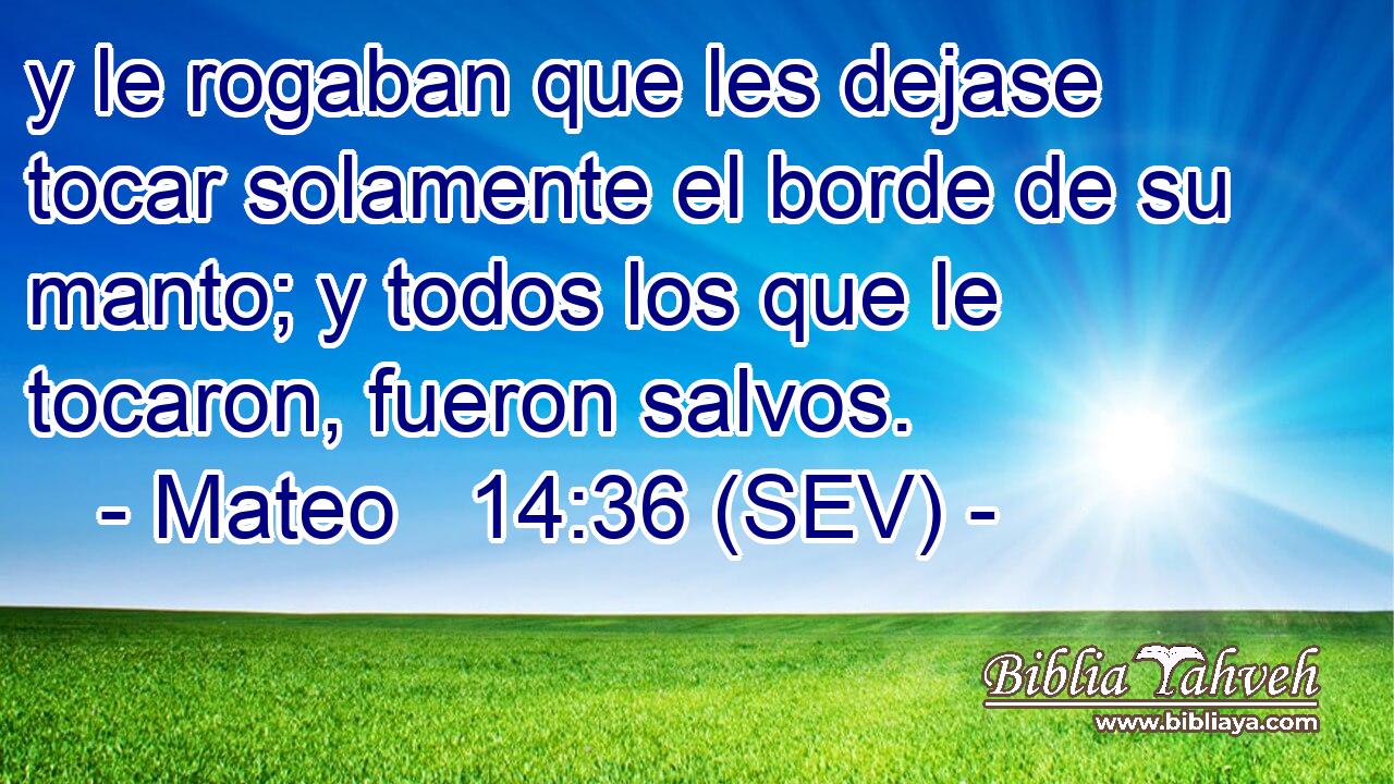 y le rogaban que les dejase tocar solamente el borde de su manto; y todos los que le tocaron, fueron salvos.