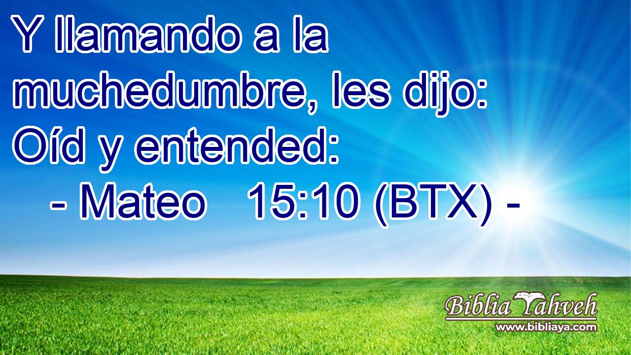 Y llamando a la muchedumbre, les dijo: Oíd y entended:
