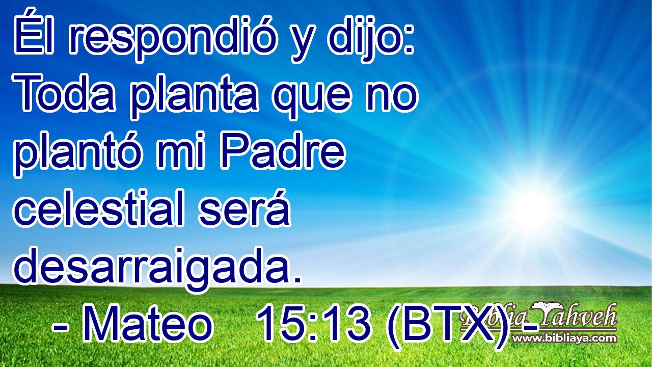 Él respondió y dijo: Toda planta que no plantó mi Padre celestial será desarraigada.