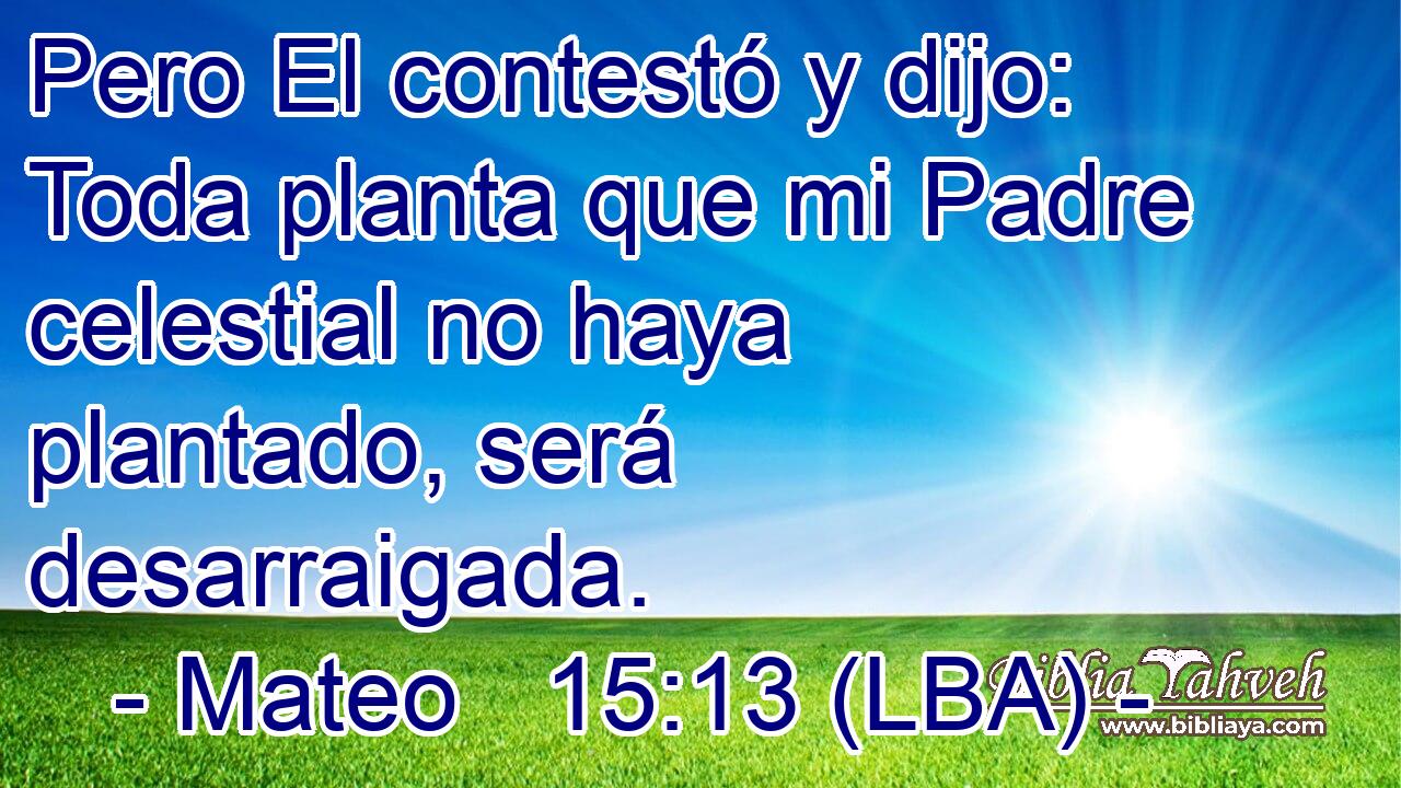 Mateo 15:13 (lba) - Pero El contestó y dijo: Toda planta que mi...