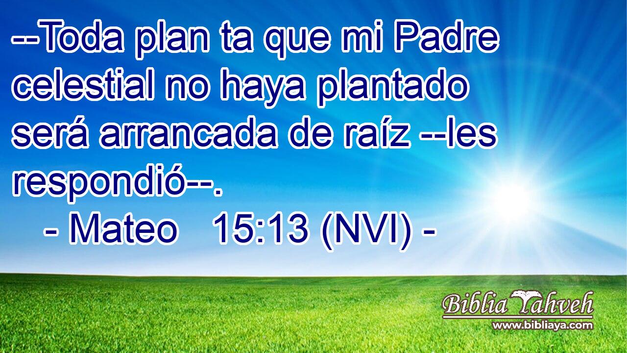  --Toda plan ta que mi Padre celestial no haya plantado será arrancada de raíz --les respondió--. 