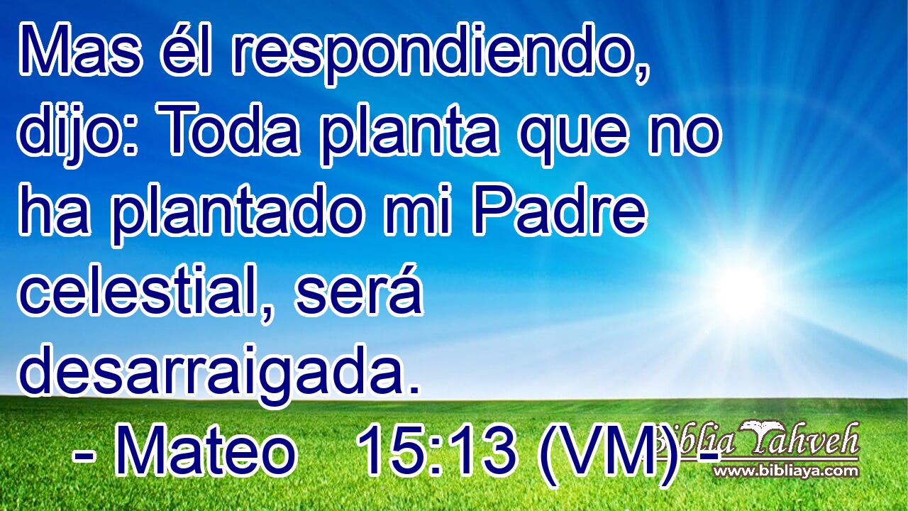  Mas él respondiendo, dijo: Toda planta que no ha plantado mi Padre celestial, será desarraigada. 
