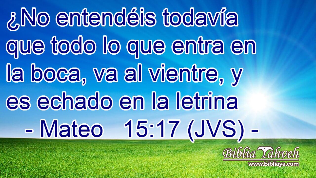 ¿No entendéis todavía que todo lo que entra en la boca, va al vientre, y es echado en la letrina