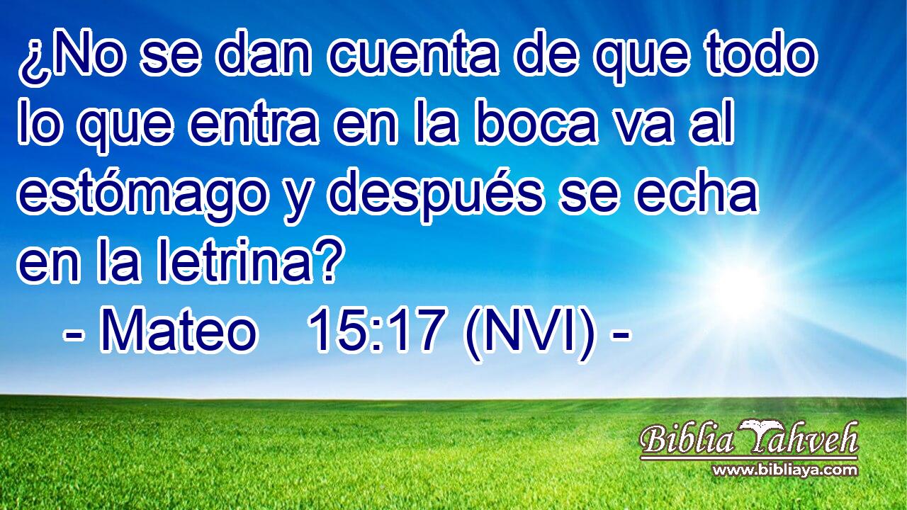  ¿No se dan cuenta de que todo lo que entra en la boca va al estómago y después se echa en la letrina? 