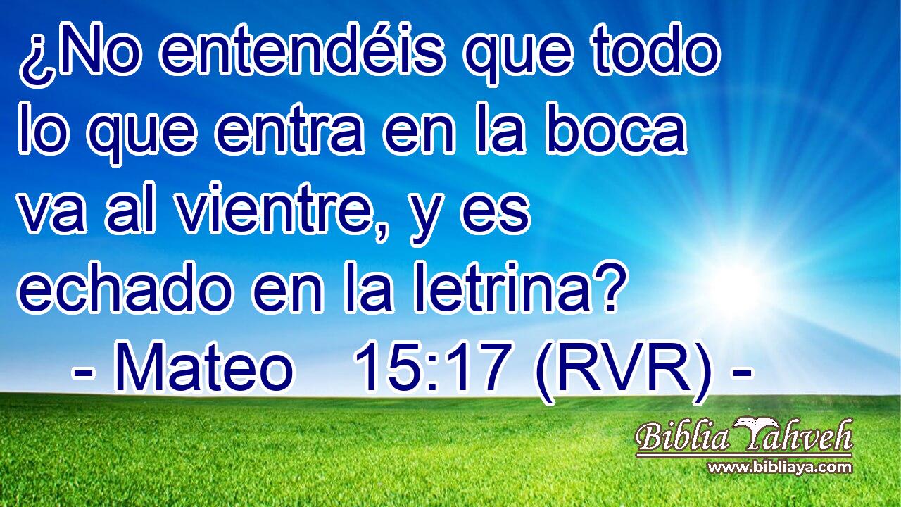 ¿No entendéis que todo lo que entra en la boca va al vientre, y es echado en la letrina?