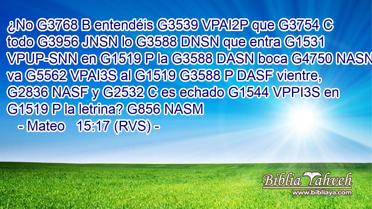 ¿No G3768 B entendéis G3539 VPAI2P que G3754 C todo G3956 JNSN lo G3588 DNSN que entra G1531 VPUP-SNN en G1519 P la G3588 DASN boca G4750 NASN va G5562 VPAI3S al G1519 G3588 P DASF vientre, G2836 NASF y G2532 C es echado G1544 VPPI3S en G1519 P la letrina? G856 NASM 
