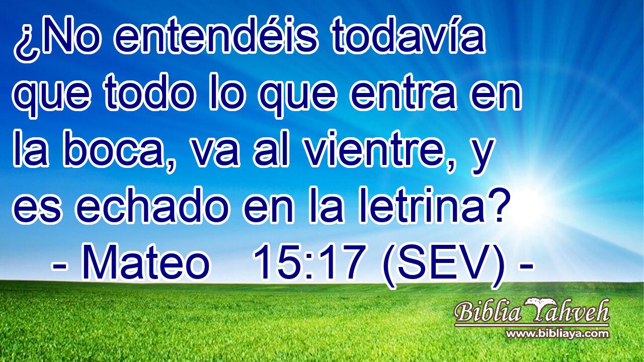 ¿No entendéis todavía que todo lo que entra en la boca, va al vientre, y es echado en la letrina?