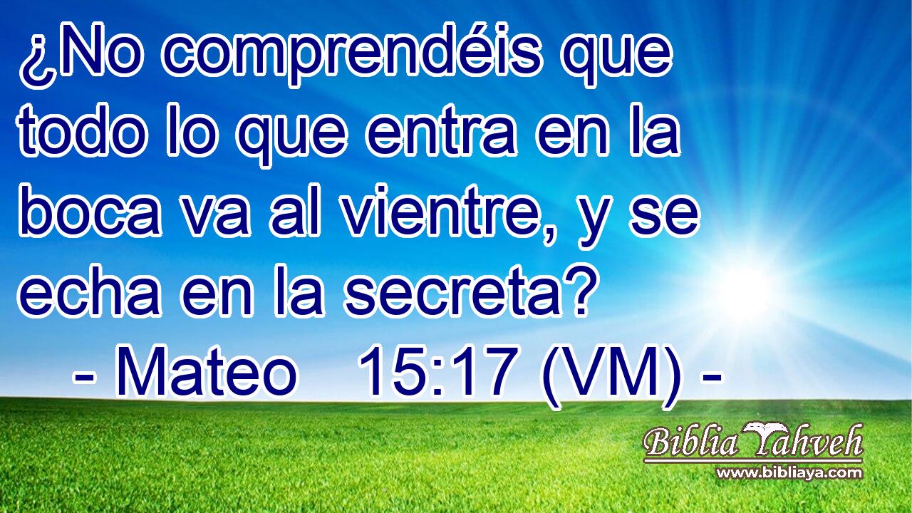 ¿No comprendéis que todo lo que entra en la boca va al vientre, y se echa en la secreta? 