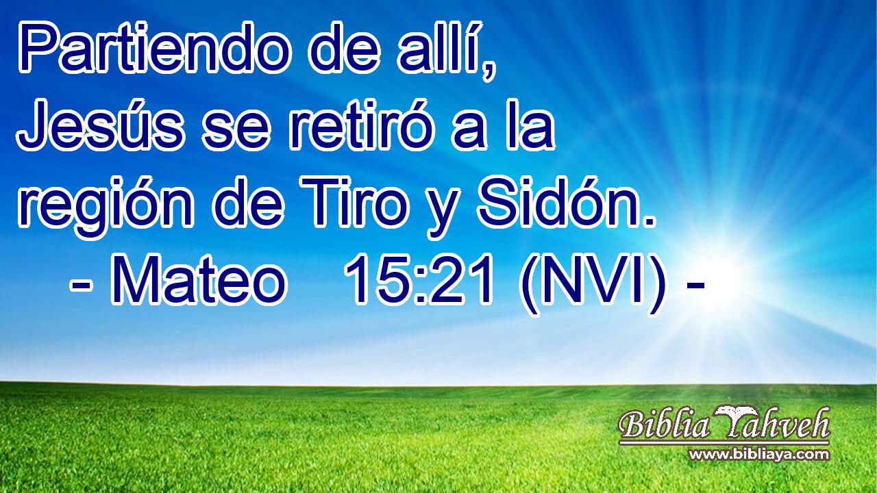  Partiendo de allí, Jesús se retiró a la región de Tiro y Sidón. 