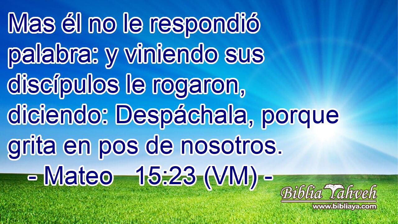  Mas él no le respondió palabra: y viniendo sus discípulos le rogaron, diciendo: Despáchala, porque grita en pos de nosotros. 