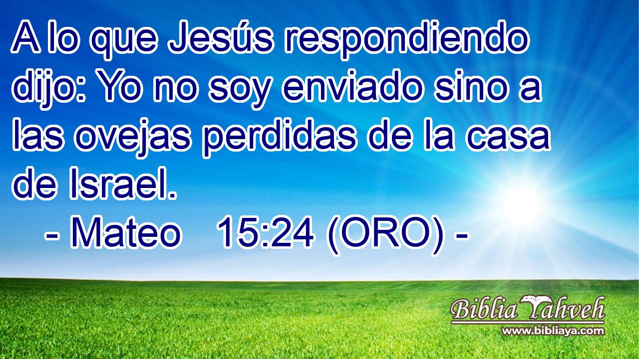  A lo que Jesús respondiendo dijo: Yo no soy enviado sino a las ovejas perdidas de la casa de Israel. 