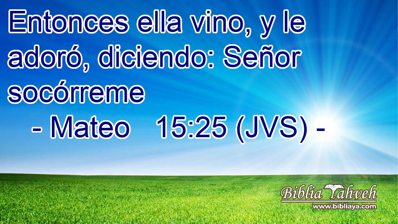 Entonces ella vino, y le adoró, diciendo: Señor socórreme