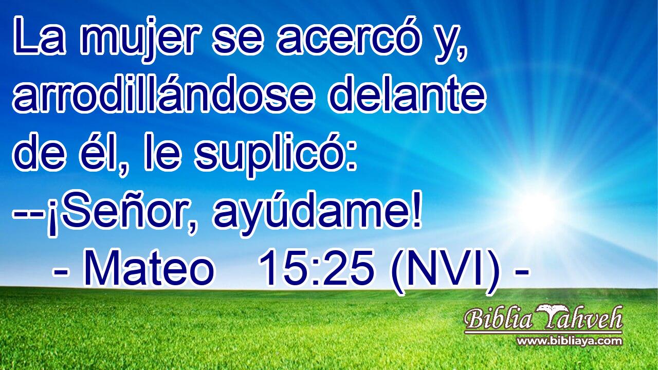  La mujer se acercó y, arrodillándose delante de él, le suplicó: --¡Señor, ayúdame! 