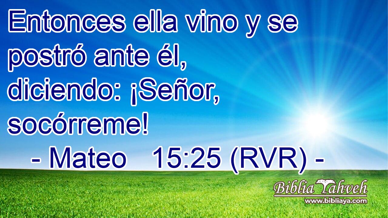 Entonces ella vino y se postró ante él, diciendo: ¡Señor, socórreme!