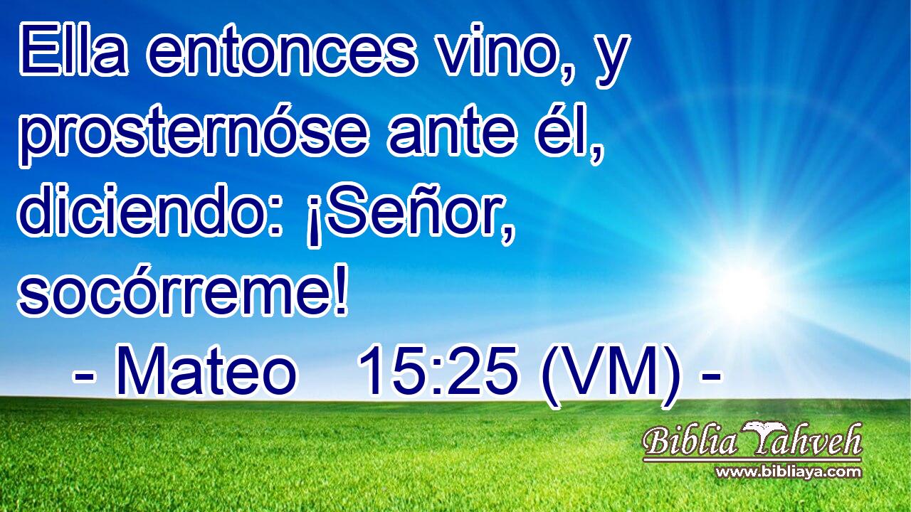  Ella entonces vino, y prosternóse ante él, diciendo: ¡Señor, socórreme! 