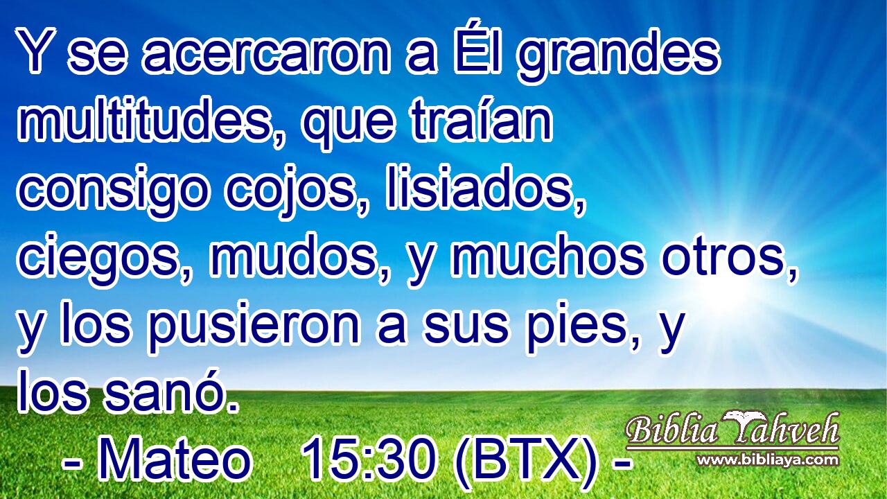 Y se acercaron a Él grandes multitudes, que traían consigo cojos, lisiados, ciegos, mudos, y muchos otros, y los pusieron a sus pies, y los sanó.