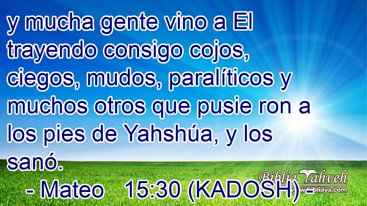  y mucha gente vino a El trayendo consigo cojos, ciegos, mudos, paralíticos y muchos otros que pusie ron a los pies de Yahshúa, y los sanó. 