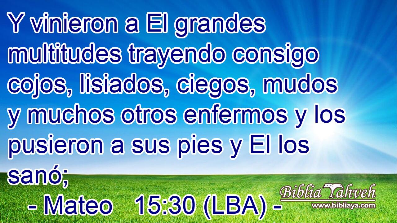 Y vinieron a El grandes multitudes trayendo consigo cojos, lisiados, ciegos, mudos y muchos otros enfermos y los pusieron a sus pies y El los sanó;