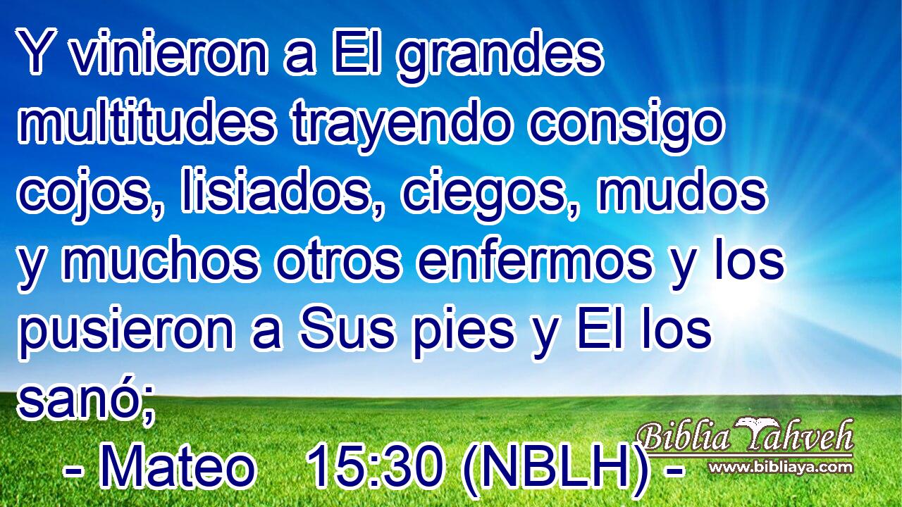  Y vinieron a El grandes multitudes trayendo consigo cojos, lisiados, ciegos, mudos y muchos otros enfermos y los pusieron a Sus pies y El los sanó; 
