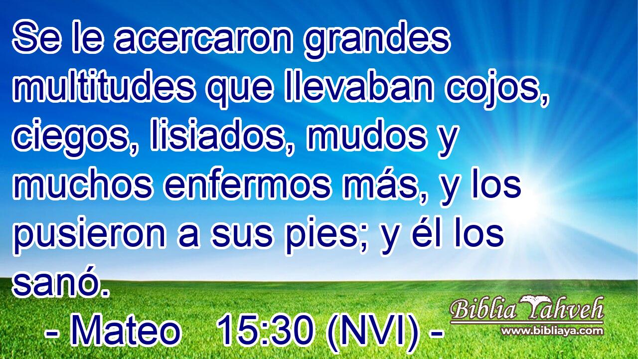  Se le acercaron grandes multitudes que llevaban cojos, ciegos, lisiados, mudos y muchos enfermos más, y los pusieron a sus pies; y él los sanó. 