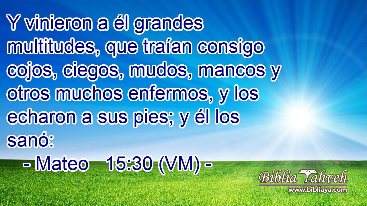  Y vinieron a él grandes multitudes, que traían consigo cojos, ciegos, mudos, mancos y otros muchos enfermos, y los echaron a sus pies; y él los sanó: 