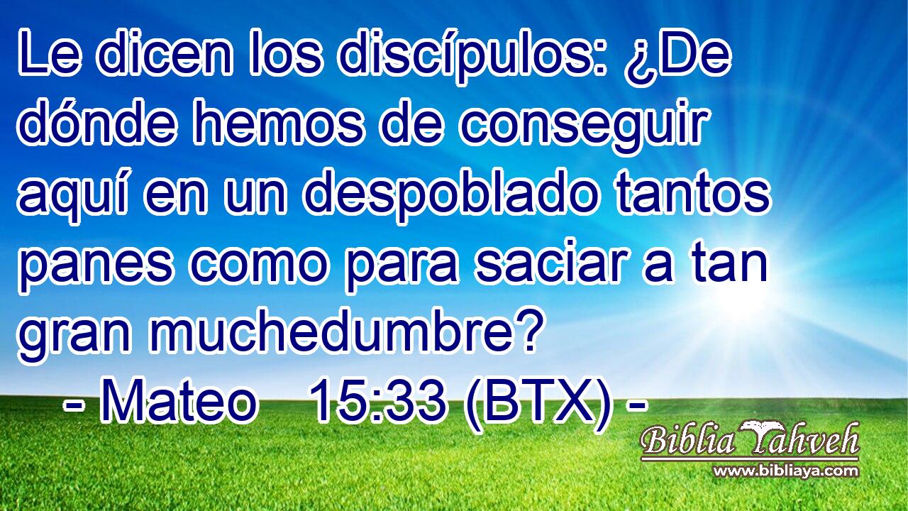 Le dicen los discípulos: ¿De dónde hemos de conseguir aquí en un despoblado tantos panes como para saciar a tan gran muchedumbre?