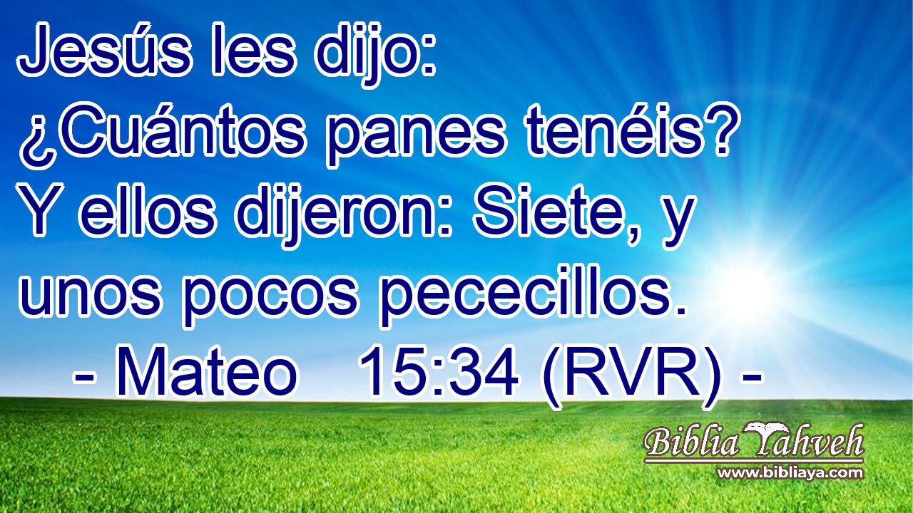 Jesús les dijo: ¿Cuántos panes tenéis? Y ellos dijeron: Siete, y unos pocos pececillos.
