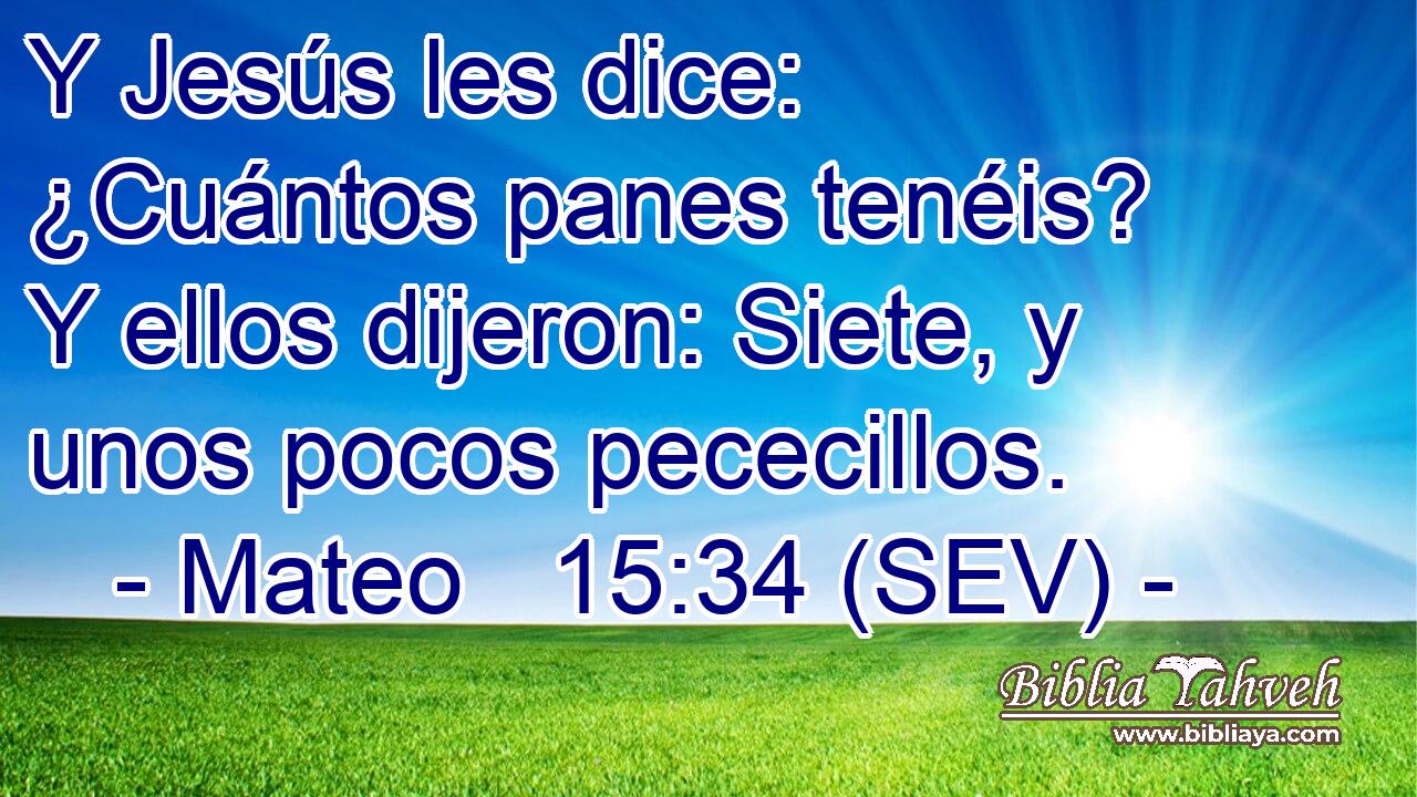 Y Jesús les dice: ¿Cuántos panes tenéis? Y ellos dijeron: Siete, y unos pocos pececillos.