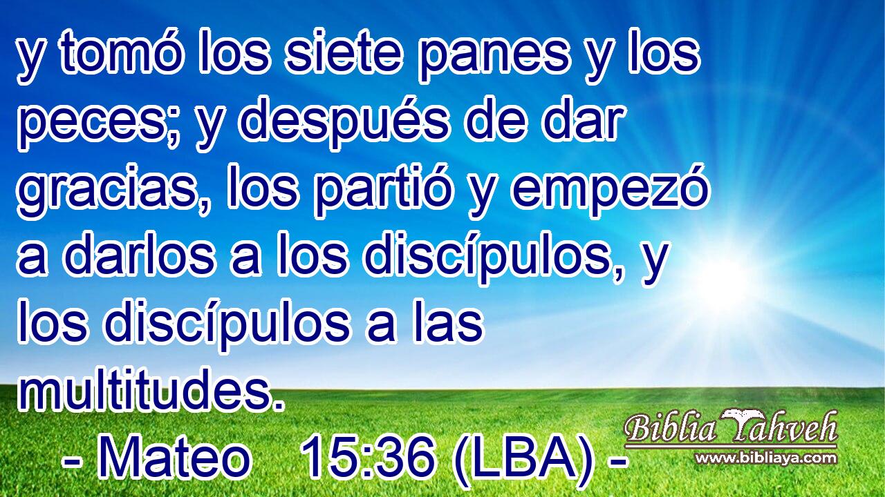 y tomó los siete panes y los peces; y después de dar gracias, los partió y empezó a darlos a los discípulos, y los discípulos a las multitudes.