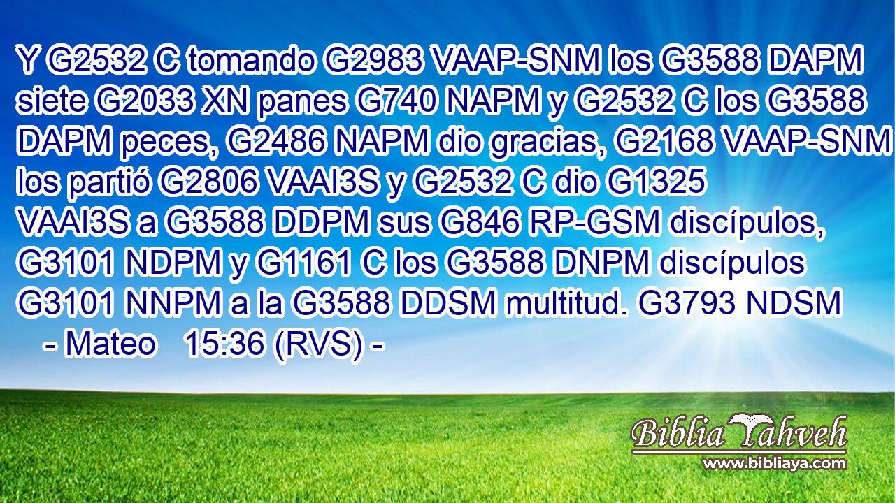 Y G2532 C tomando G2983 VAAP-SNM los G3588 DAPM siete G2033 XN panes G740 NAPM y G2532 C los G3588 DAPM peces, G2486 NAPM dio gracias, G2168 VAAP-SNM los partió G2806 VAAI3S y G2532 C dio G1325 VAAI3S a G3588 DDPM sus G846 RP-GSM discípulos, G3101 NDPM y G1161 C los G3588 DNPM discípulos G3101 NNPM a la G3588 DDSM multitud. G3793 NDSM 