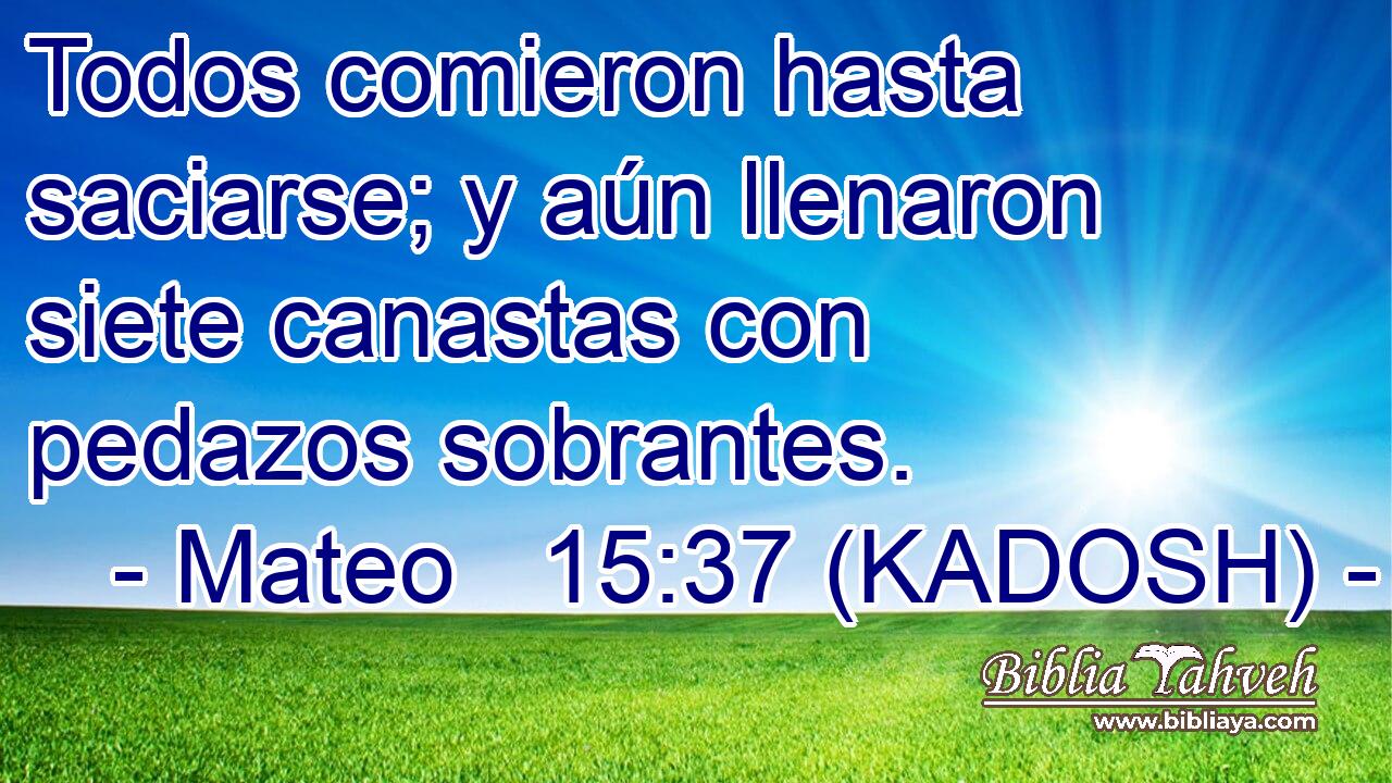  Todos comieron hasta saciarse; y aún llenaron siete canastas con pedazos sobrantes. 