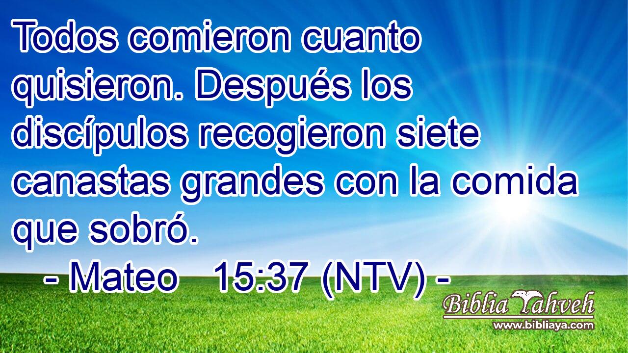 Todos comieron cuanto quisieron. Después los discípulos recogieron siete canastas grandes con la comida que sobró.