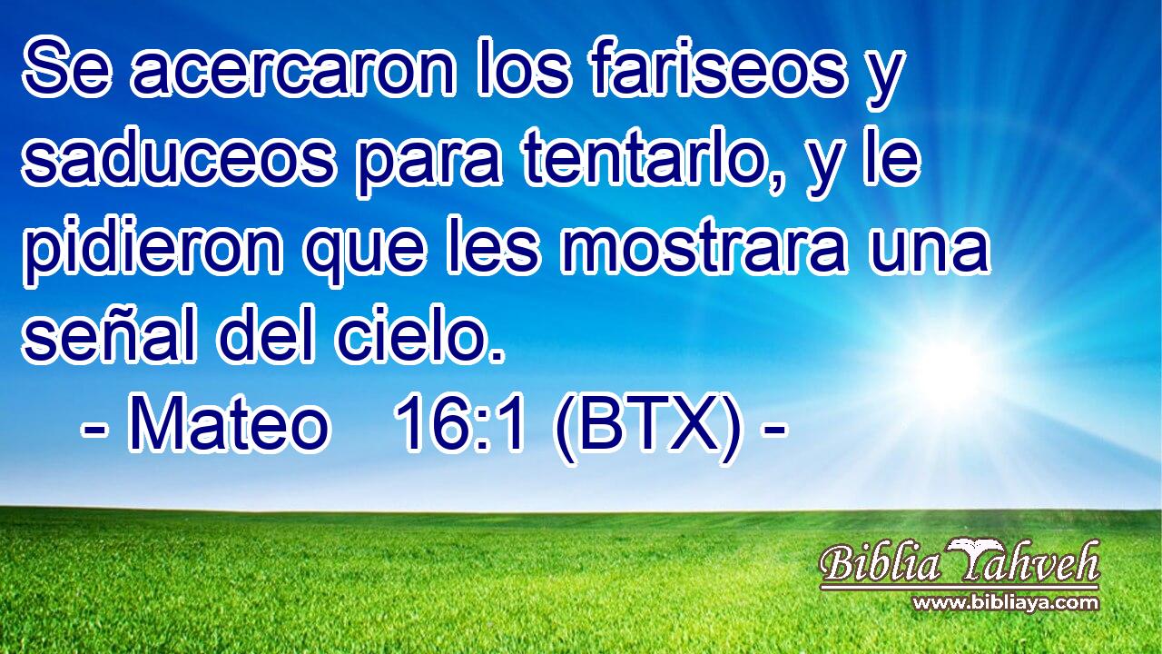 Se acercaron los fariseos y saduceos para tentarlo, y le pidieron que les mostrara una señal del cielo.