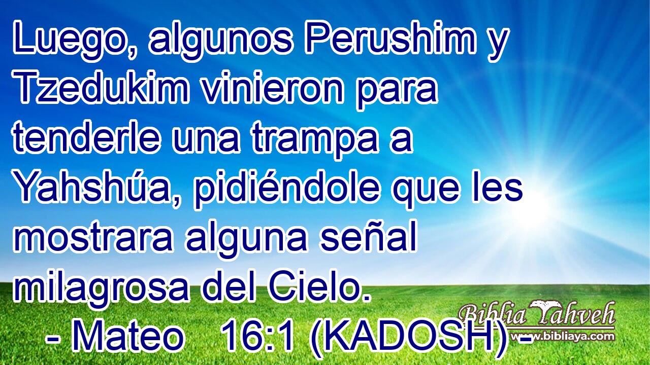  Luego, algunos Perushim y Tzedukim vinieron para tenderle una trampa a Yahshúa, pidiéndole que les mostrara alguna señal milagrosa del Cielo. 