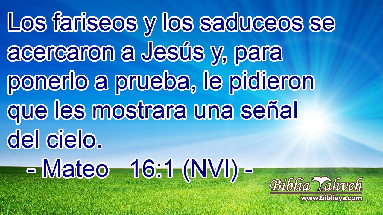  Los fariseos y los saduceos se acercaron a Jesús y, para ponerlo a prueba, le pidieron que les mostrara una señal del cielo. 
