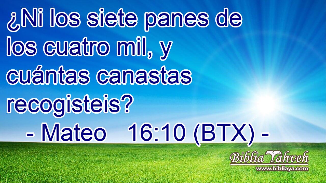 ¿Ni los siete panes de los cuatro mil, y cuántas canastas recogisteis?