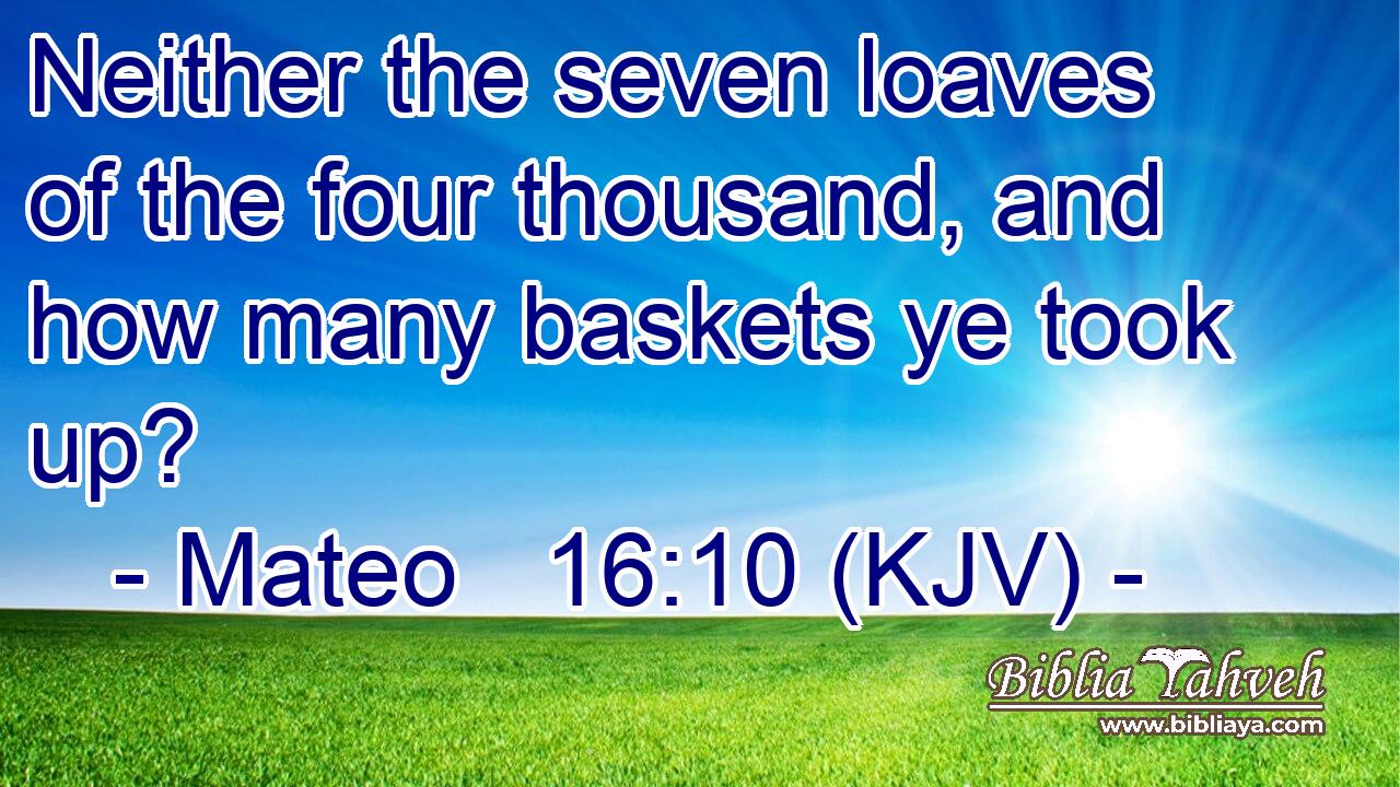 Neither the seven loaves of the four thousand, and how many baskets ye took up?