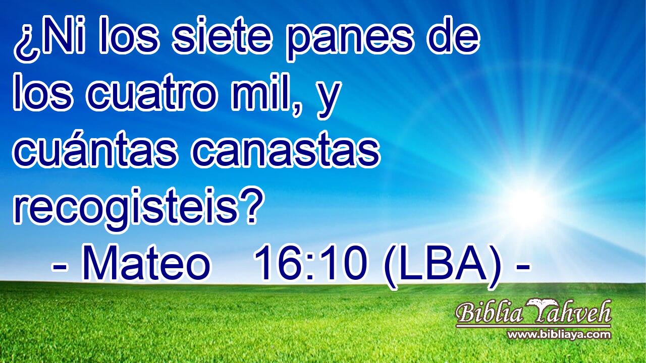 ¿Ni los siete panes de los cuatro mil, y cuántas canastas recogisteis?