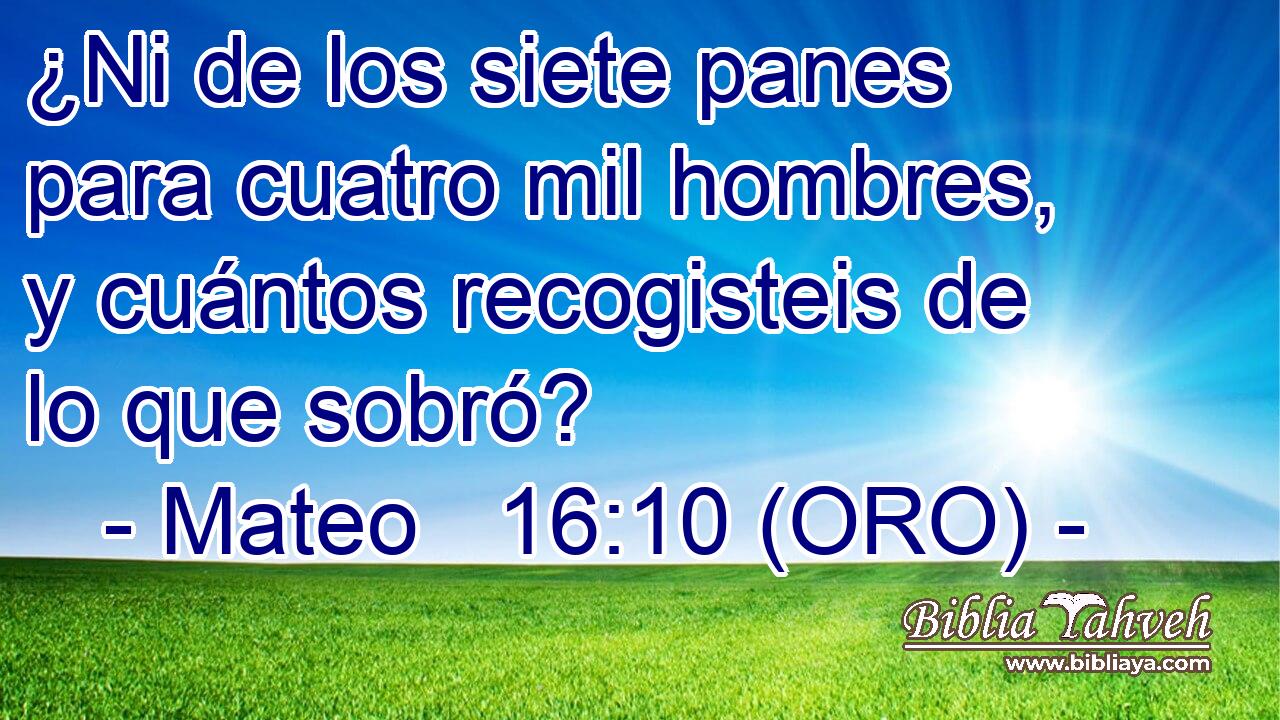  ¿Ni de los siete panes para cuatro mil hombres, y cuántos recogisteis de lo que sobró? 