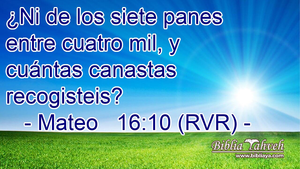 ¿Ni de los siete panes entre cuatro mil, y cuántas canastas recogisteis?