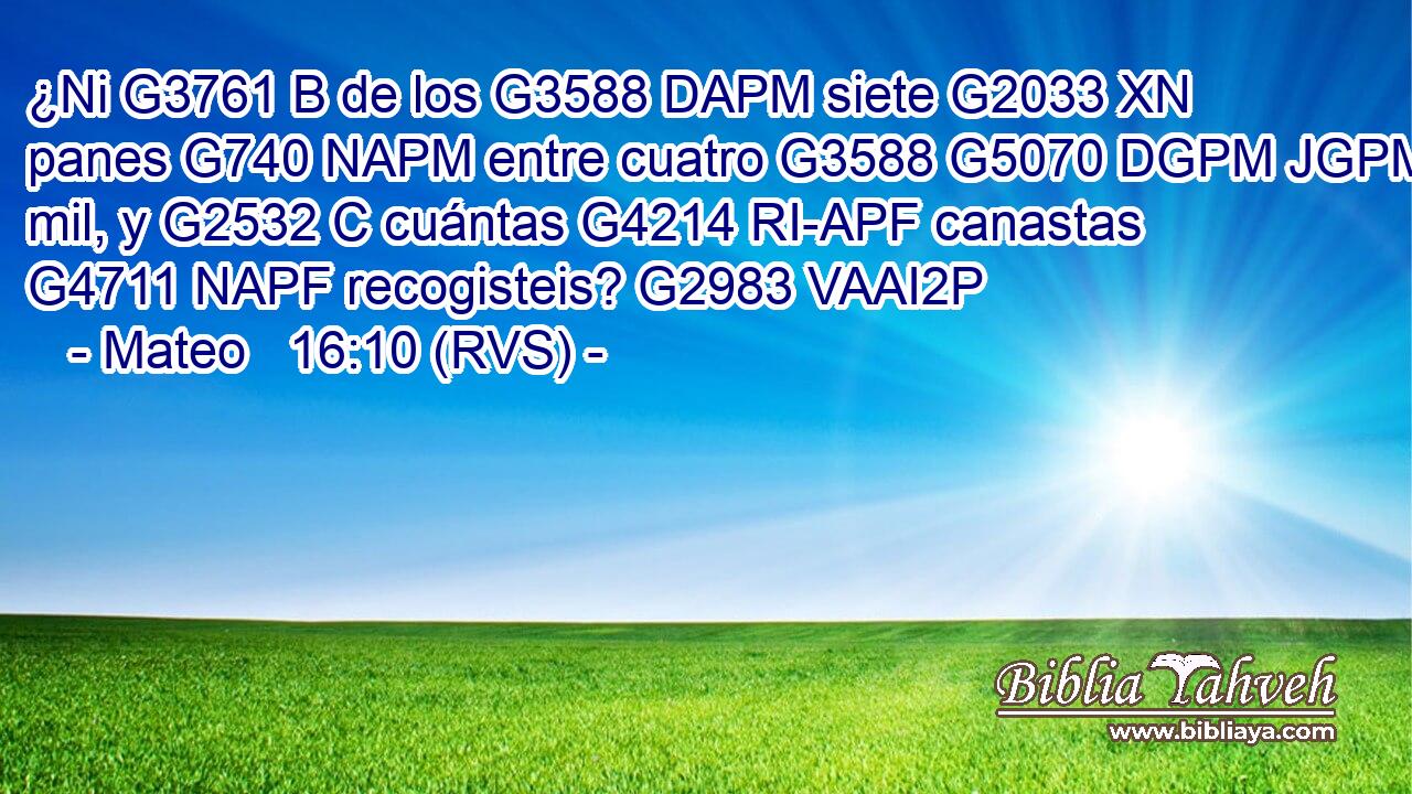 ¿Ni G3761 B de los G3588 DAPM siete G2033 XN panes G740 NAPM entre cuatro G3588 G5070 DGPM JGPM mil, y G2532 C cuántas G4214 RI-APF canastas G4711 NAPF recogisteis? G2983 VAAI2P 