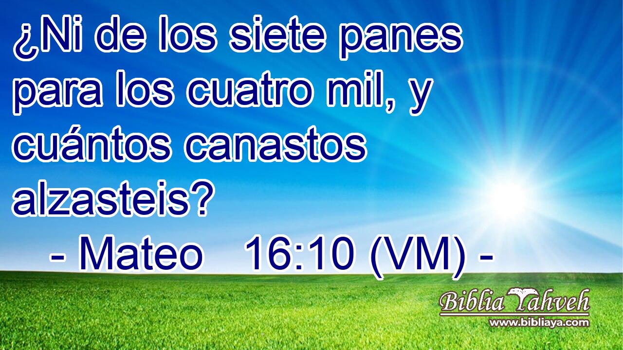  ¿Ni de los siete panes para los cuatro mil, y cuántos canastos alzasteis? 