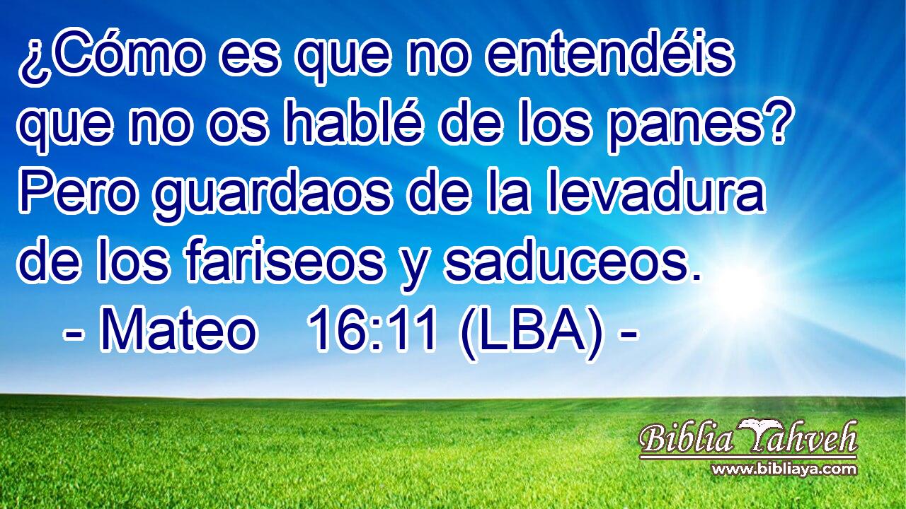 ¿Cómo es que no entendéis que no os hablé de los panes? Pero guardaos de la levadura de los fariseos y saduceos.