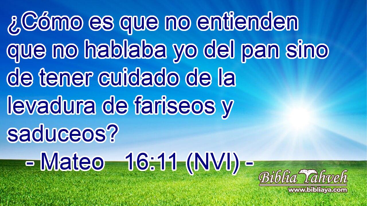  ¿Cómo es que no entienden que no hablaba yo del pan sino de tener cuidado de la levadura de fariseos y saduceos? 