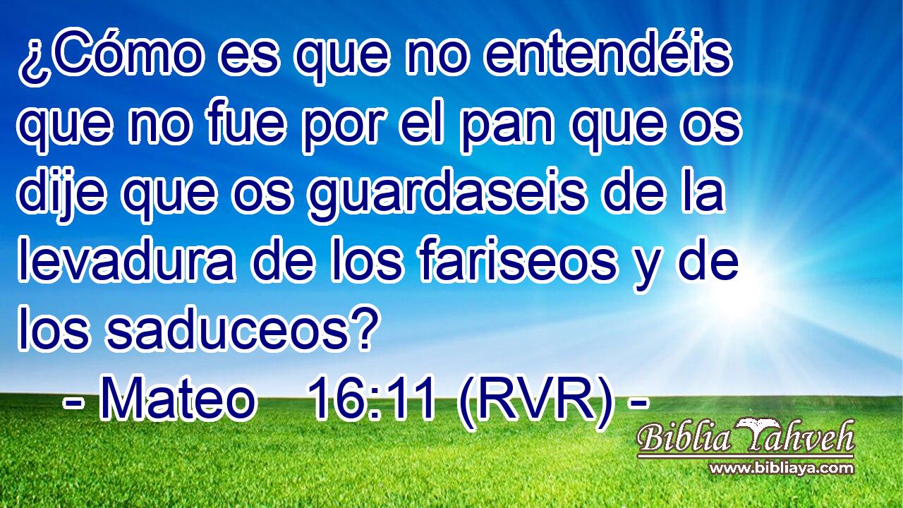 ¿Cómo es que no entendéis que no fue por el pan que os dije que os guardaseis de la levadura de los fariseos y de los saduceos?