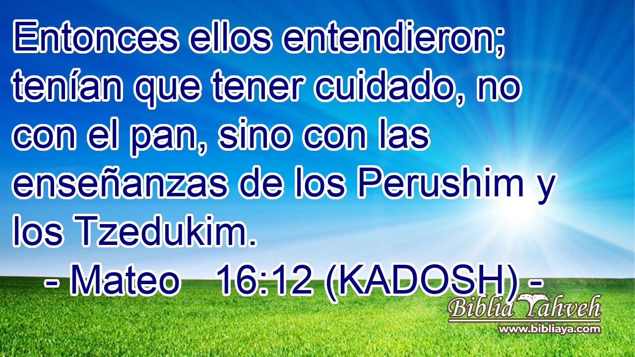  Entonces ellos entendieron; tenían que tener cuidado, no con el pan, sino con las enseñanzas de los Perushim y los Tzedukim. 