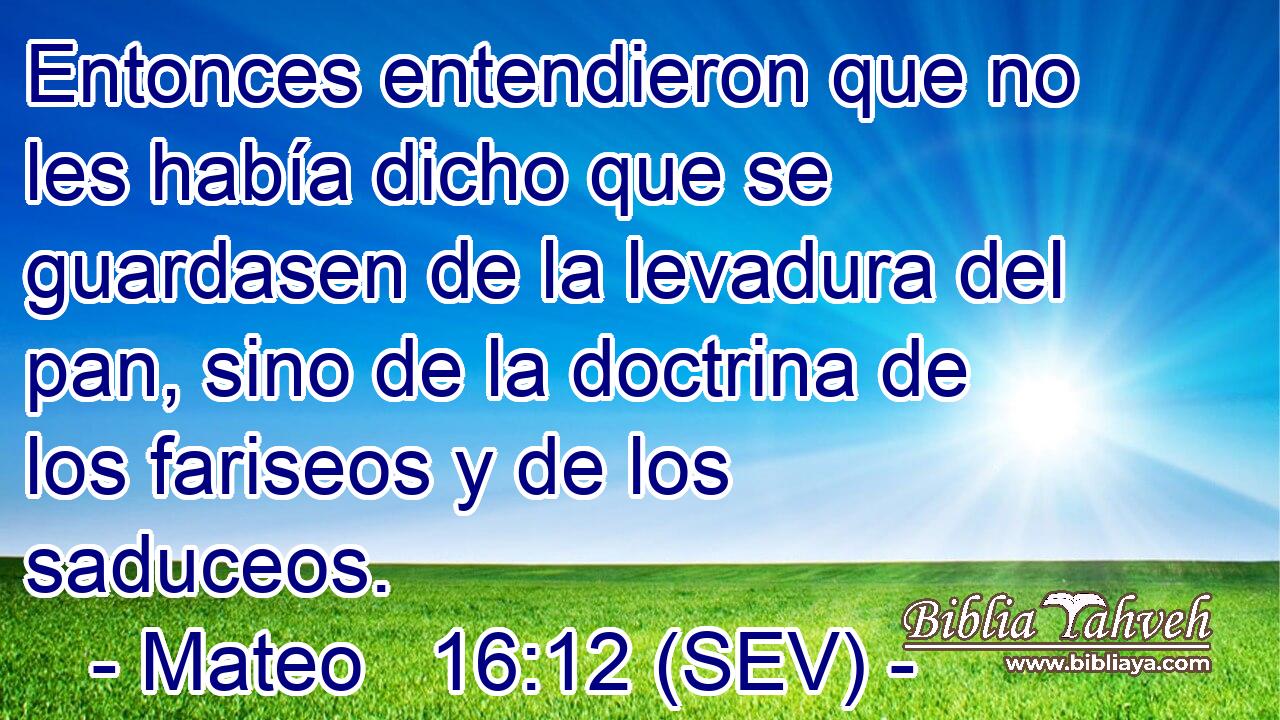 Entonces entendieron que no les había dicho que se guardasen de la levadura del pan, sino de la doctrina de los fariseos y de los saduceos.