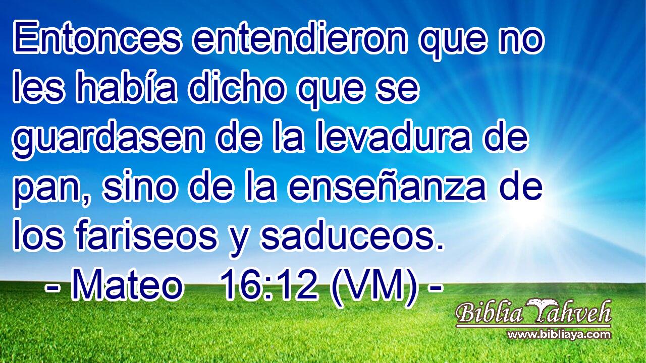  Entonces entendieron que no les había dicho que se guardasen de la levadura de pan, sino de la enseñanza de los fariseos y saduceos. 