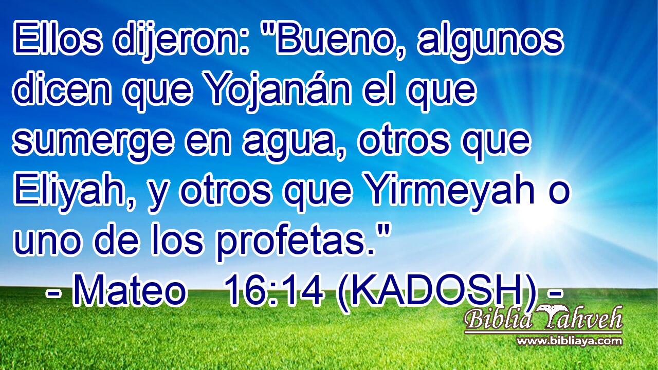  Ellos dijeron: 