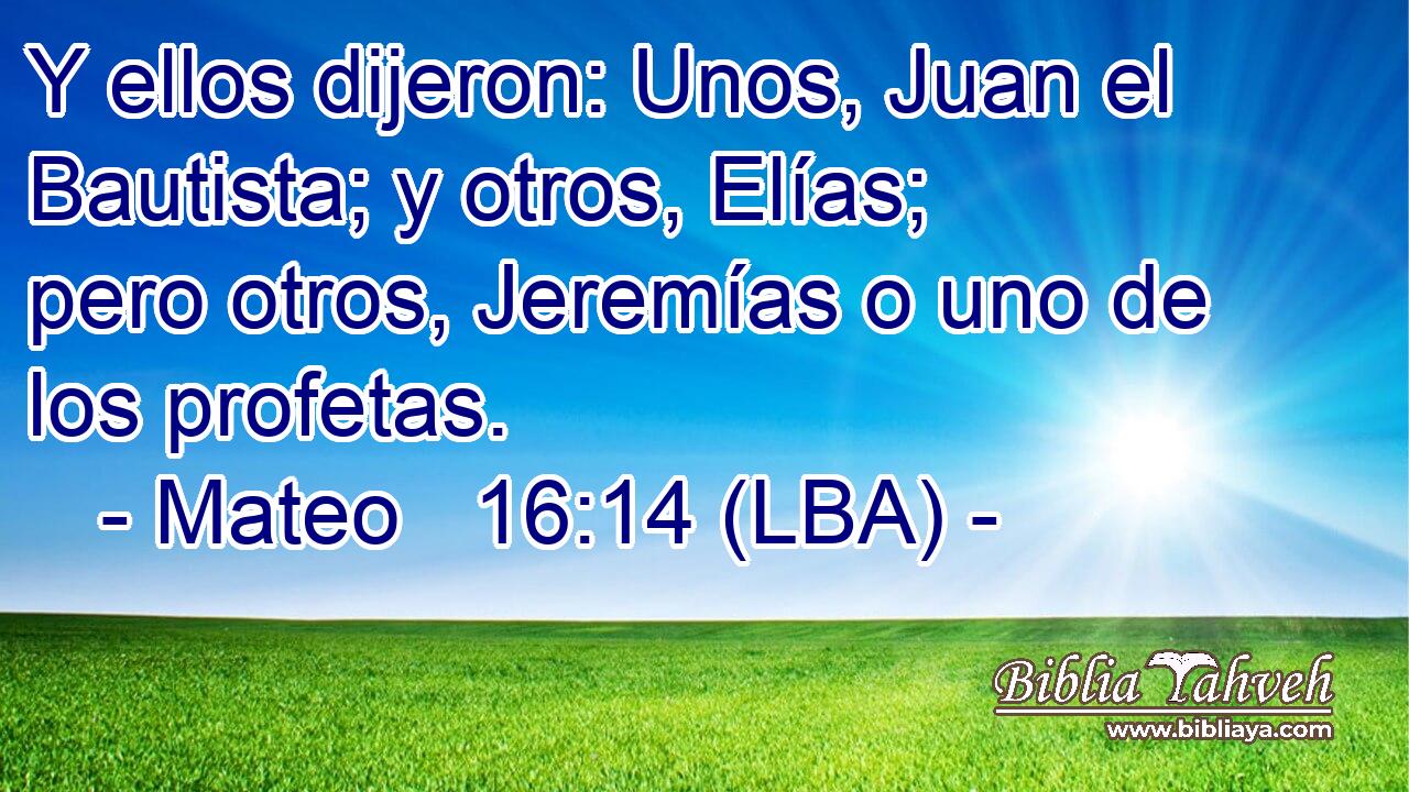 Y ellos dijeron: Unos, Juan el Bautista; y otros, Elías; pero otros, Jeremías o uno de los profetas.